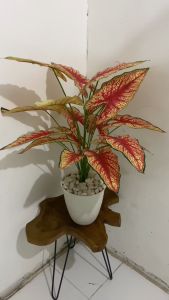 DAUN KELADI PLASTIK JUMBO DAUN CALADIUM ARTIFISIAL DEKORASI BUNGA HIAS PALSU DEKOR TANAMAN POJOKAN RUMAH JUMBO