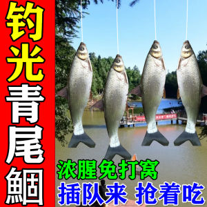 Đồ Câu Cá Sábalo Chuyên Dụng Cho Mùa Xuân Hè Thu Đông Đồ Ăn Đặc Biệt Cho Cá Sábalo Vàng Đỏ Xa Xỉ Đồ Ăn Cho Cá Sábalo