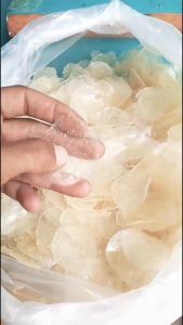 keripik kaca bahan mentah 10kg (paket usaha) dijamin tipis  siap olah (LANGSUNG DARI PABRIK)