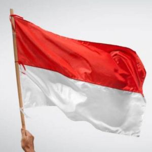 Bendera merah putih Bendera Indonesia Besar/B.150