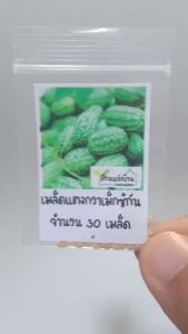 30 เมล็ด แตงกวาเม็กซิกัน Mexican Sour Gherkin เมล็ดแตงกวาเม็กซิกัน เมล็ดแตงกวา เมล็ดพันธุ์แตงกวาเม็กซิกัน เมล็ดพันธุ์แตงกวา แตงกวา