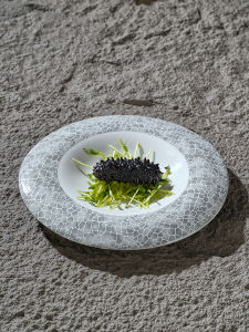 Retro Ceramic Cold Dish Plate Creative Restaurant Hotel Cold Dish Plate round Edge Abalone Dish Plate Scenic Dish