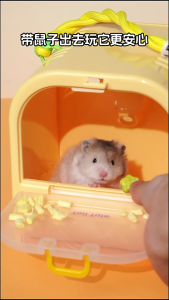 Hamster takeaway cage new hamster cage wholesale pet cage golden bear sugar glider hand-held cage cute