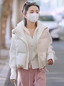 เสื้อกั๊กขนเป็ดแขนกุดสไตล์เกาหลีสำหรับผู้หญิง ฤดูใบไม้ร่วง/ฤดูหนาว ทรงหลวม คอตั้ง ปกติ อบอุ่น เสื้อคลุมกันหนาวแบบมีซิป