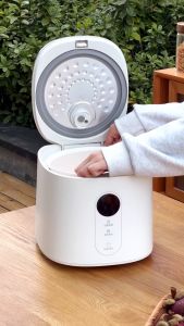 LocknLock Multi Cooker Nemo Alat Masak Multi Fungsi 1.2L - EJR384IVY