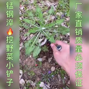 Sekop Penggali/ Sekop Penggali Sayuran Liar/Alat Pertanian Bawang Putih Baja/Penggali Dompet Gembala/Melonggarkan Tanah/Sekop Penyiangan Berulir Berkebun