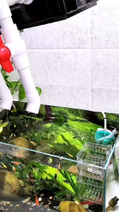 YEE AQUARIUM FILTER BOX | 2-3 LAYERS FILTER BOX | FISH TANK FILTER BOX | TOP FILTER BOX | 2-3 TIER | 周转箱过滤