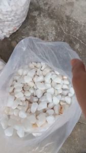 Sỏi Trắng Đá Lăn Trắng – Trang Trí Nhà Cửa Sân Vườn Tiểu Cảnh