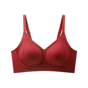 Red Lucky Year Underwear Set Gather Push-up Minimize Side Breast