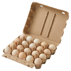 NUOXIAN | Biodegradable Shockproof Egg Packaging Tray