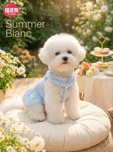 hipidog | Pet Princess Dress For Small Dogs Thin Summer
