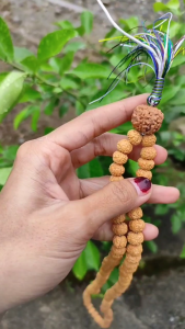 Japamala Jenitri Rudraksha 108 Butir Panca Warna