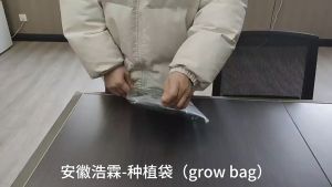 【PLAYFUL】Planting bag flower pot Potato Grow Bags Tomato Plant Home Garden Vegetable Container Pots POTATO BAG