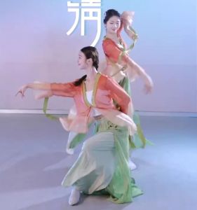 Elegant Thin Dance Costume Womens Ancient Chinese Gown Performance Suit Soft Polyester Practice Clothes Ethnic Stage Outfit