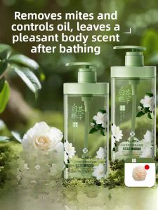 Algn | Anti-Itch Control Oil Fragrant Shower Gel