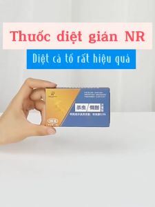 Thuốc Diệt Gián NR Hộp 8 Viên Mồi Diệt Gián Cả Đàn Với Mồi Dẫn Dụ Siêu Tốt Khang Đức