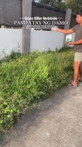 🔥BUY2 TAKE1🔥grass and weeds killer500g Contains Super Effective Chemical Hexazinone Root Removal Kill Tree And Bamboo grass killer herbicide Harmless to the soil herbicide for grass and weeds grass killer chemical tree killer chemical powder