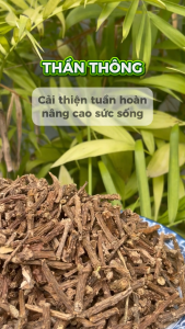 [Hàng mới về] Dây thần thông sấy khô 1kg - Thảo Dược Tấn Phát - Chuyên dùng để pha trà hỗ trợ cải thiện sức khoẻ