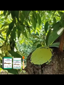 Tree Wound Repair Grafting Paste Pruning Cut Healing Sealer for Garden Plants