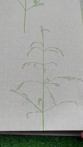 Wallpaper Dinding Premium Daun Bunga Simple Rustik Cream Hijau Nude Beige Abu Silver Biru