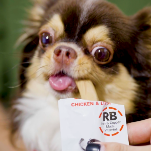 Trial Set VFcore BAR 6 สูตร จำนวน 6 ซอง