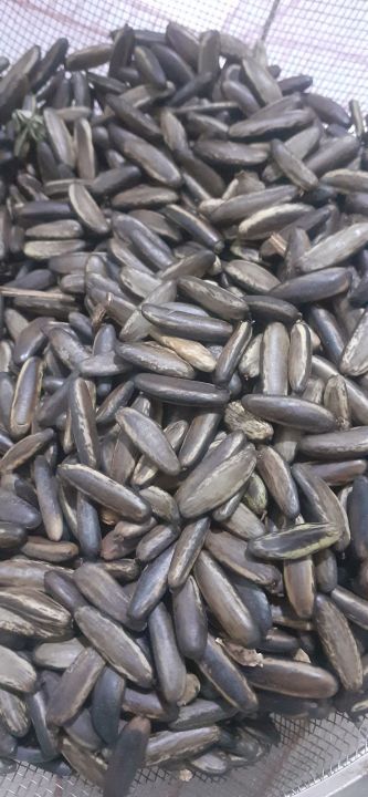 H%E1%BA%A1t%20ph%C6%B0%E1%BB%A3ng%20%C4%91%E1%BB%8F%20(ph%C6%B0%E1%BB%A3ng%20v%C4%A9)%20gi%E1%BB%91ng%20-%20Image%203