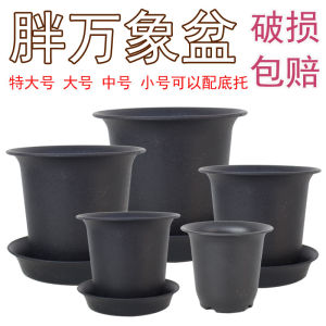 Succulents Laozhuang Pp Green Plant Pot Planting Pot Thickened Plastic round High Waist Vientiane Pot For Home Flower Pot