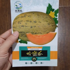 Hạt giống dưa lưới Tân Cương rằn ri siêu giòn ngọt -shop Yến Liên Beauty