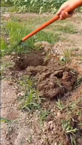 Cangkul Kepala Pengganti Baja Taman Cangkul Pertanian Cangkul Tangan Cangkul Tangan Alat Pelepas Cangkul Kepala untuk Berkebun