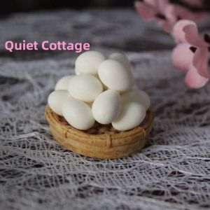 DIY Miniature Food Toys Eggs