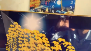 Tranh Treo Tường Thuận Buồm Xuôi Gió/ Tranh Phong Thuỷ Treo Phòng Khách/ Tranh Tráng Gương/ Trang Trang Trí Decor Phòng