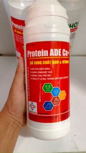 Daeyong Protein ADE Ca ( 1 lít ) Đỏ tích kích mào bung lông bật cựa nở ức dày mình dùng trong Thú Y