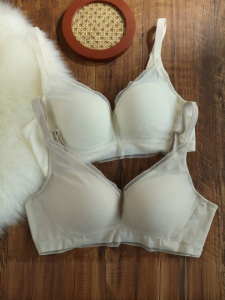 Cleavage Enhancing Sag Resistant Seamless Small Bust Support Bra Women