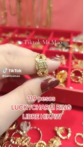 Lucky Charm Earrings: Money Catcher Coin & Stainless Steel Charm