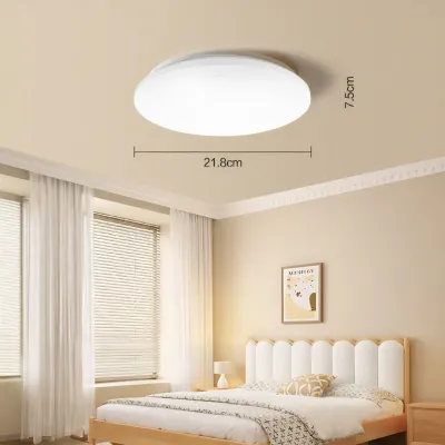 Bull | Ceiling Light Installation and Removal Service Circular Modern Simple