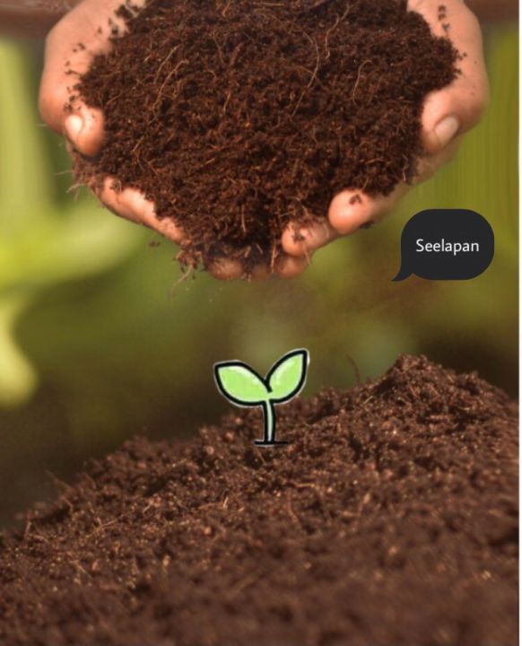 ขุยมะพร้าวละเอียด สำหรับเพาะปลูกและรักษาความชื้น