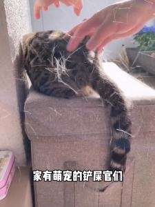 Handheld Dust Mite Vacuum Cleaner For Bed Mattress Dust Mite Vacuum Cleaner For Bed Handheld Bed Vacuum Cleaner Dust Mite Vacuum Dust Gas Separation Hot Air Sterilization Efficiency