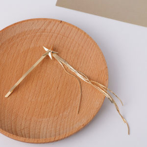 Fashionable Kitchen 100 Luo Yuning Womens Summer Star Tassel Hairpin Side Edge Clip Net Red New Style Hair Accessories