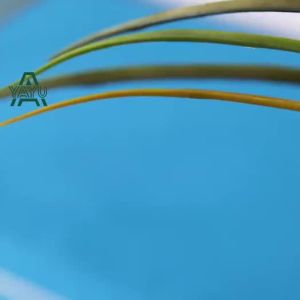 LeShu Foldable Mattress Foldable Bed Single Mattress And Queen / 4 Fold / 8cm Thicken Sponge Floor Tatami Mattress Sleeping Mat