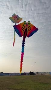 800cm Devil fish kite for adults kite Ray fish kite flying folding kite giant large kites inflatable toys Outdoor toys