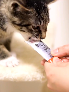 Camilan Kucing Snack Kucing Original