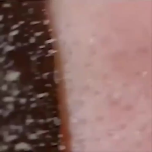 GLOBAL - HANASUI NATURGO MASKER TUBE 60GR BPOM - MASKER NATURGO HANASUI TUBE