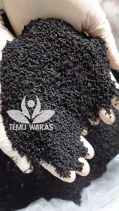 Jintan Hitam 50gr (Nigella sativa) / Habbatussauda Organik - Grade A