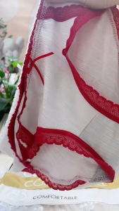 Combo 3-5-10 quần lót nữ cute thoáng mát chip tam giác Ca ro Đỏ cotton kháng khuẩn thấm hút mồ hôi - Cs111