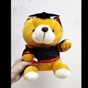Dreamtoys96 Boneka Wisuda Boneka Beruang Toga Buket Bunga Wisuda 8