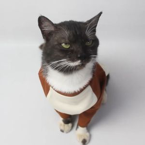 Baju Kucing Anjing Cowok Cewek Lucu Murah Lengan Panjang - BUKI CATZILLA TEE SERIES
