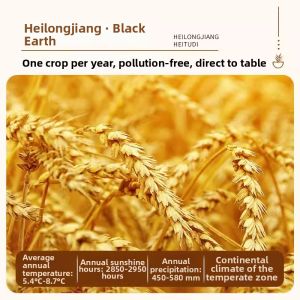 Organic Whole Germ Oat Rice for Diabetics Healthy Staple Food