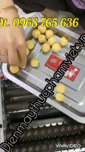Máy làm trân châu chè trân châu khoai dẻo đường kính 16/19/23mm