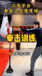 110-160cm Adjustable Punching Bag Punching Ball Boxing Speed Bag With Stand Boxing Bag