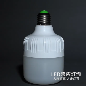 30W E27 LED Bulb Energy Saving Sensor Bulb Ceiling Down Light Outdoor Camping Bulb Automatic Light Night Light